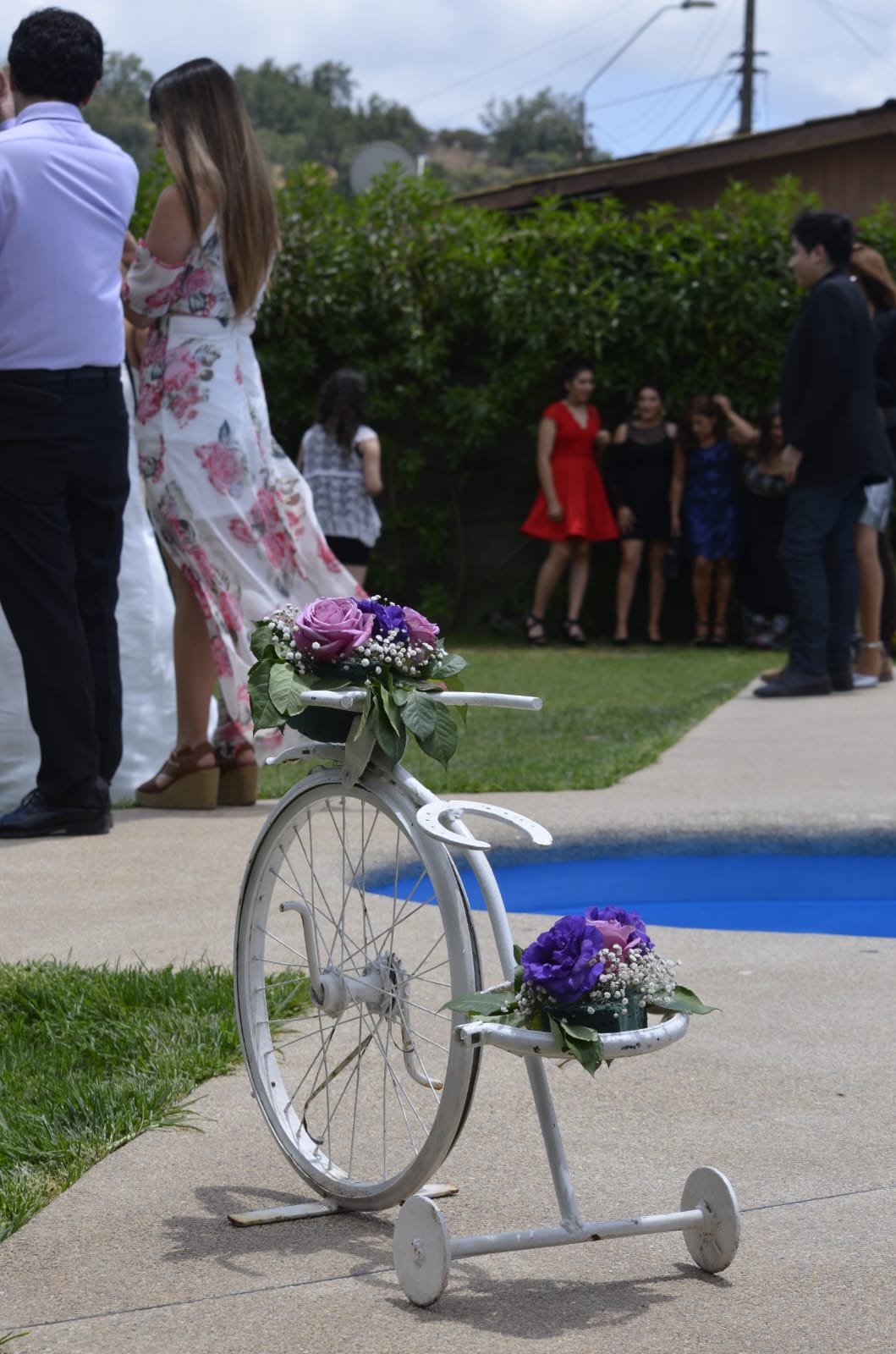 Bicicleta Flores Deco