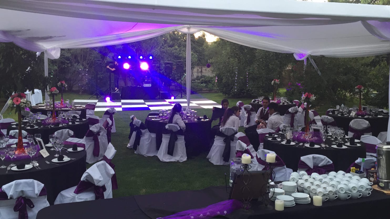Fiesta Exterior Carpa Purpura