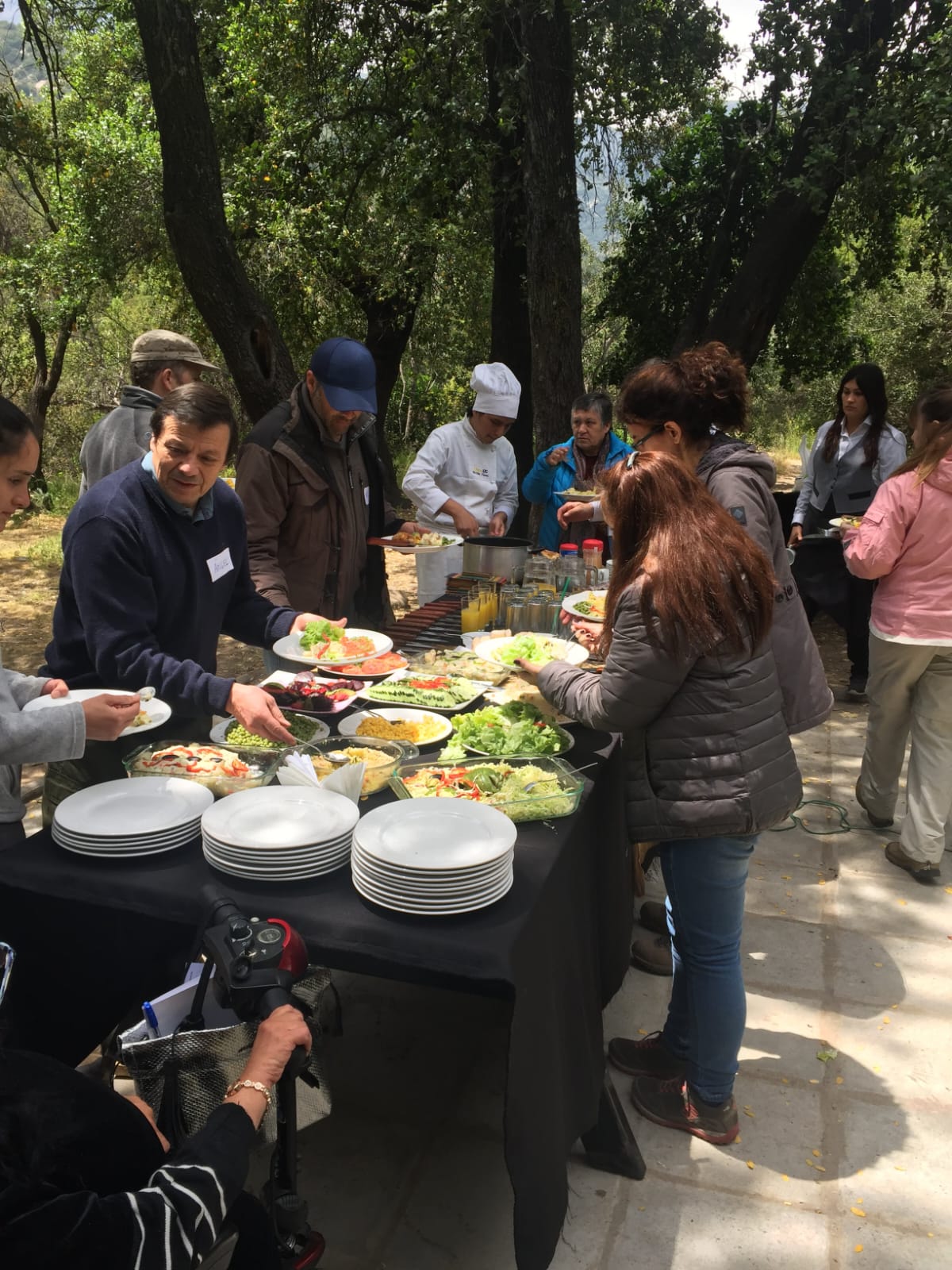 Servicio Buffet